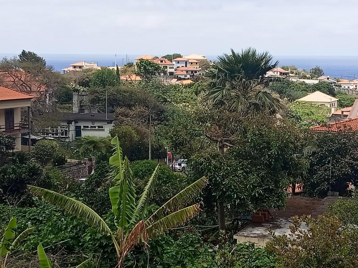 Scenic Comfort بونتا ديلغادا المظهر الخارجي الصورة